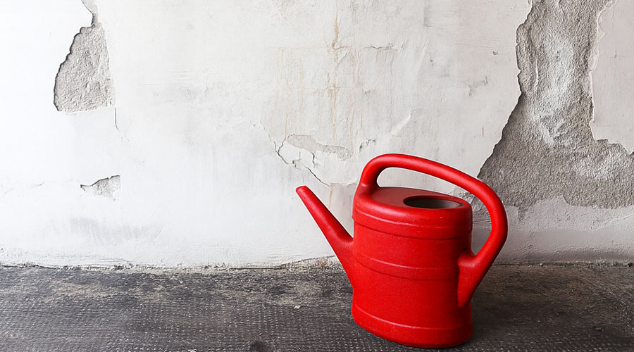 Commercial Property Leasing